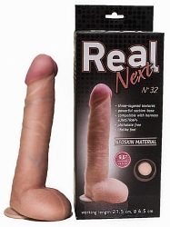 00000008065_1